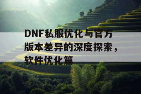 DNF私服优化与官方版本差异的深度探索，软件优化篇