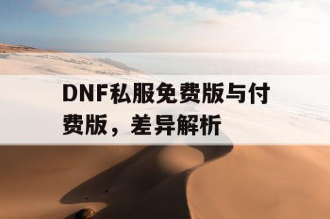 DNF私服免费版与付费版，差异解析