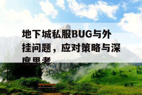 地下城私服BUG与外挂问题，应对策略与深度思考