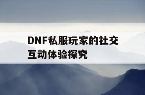 DNF私服玩家的社交互动体验探究