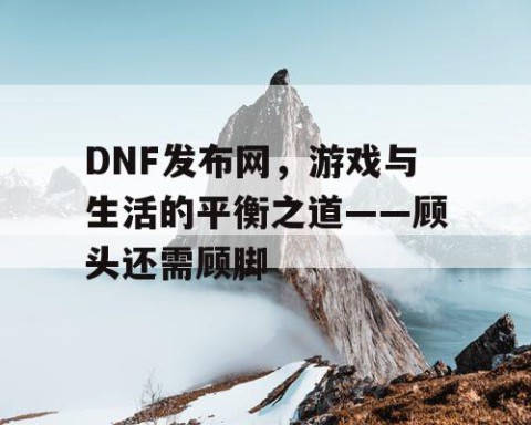 DNF发布网，游戏与生活的平衡之道——顾头还需顾脚