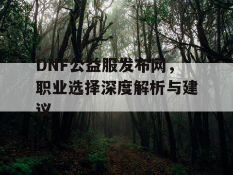 DNF公益服发布网，职业选择深度解析与建议