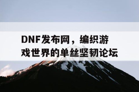 DNF发布网，编织游戏世界的单丝坚韧论坛