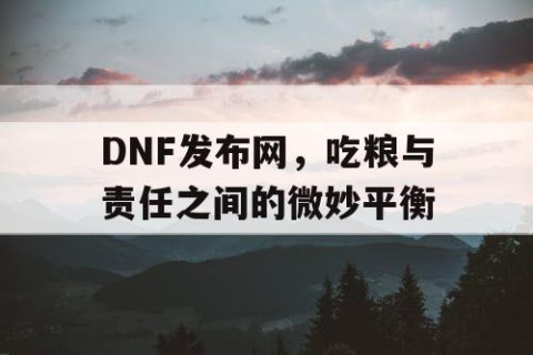 DNF发布网，吃粮与责任之间的微妙平衡