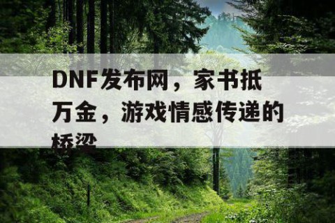 DNF发布网，家书抵万金，游戏情感传递的桥梁