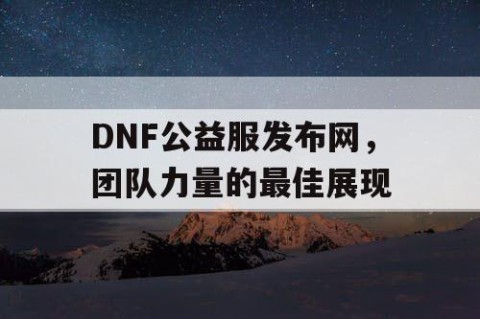 DNF公益服发布网，团队力量的最佳展现