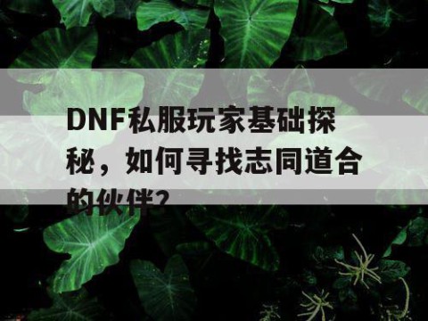 DNF私服玩家基础探秘，如何寻找志同道合的伙伴？