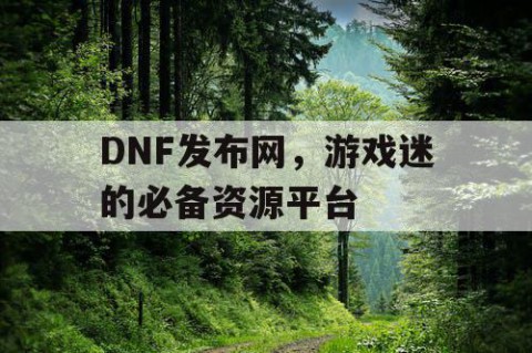 DNF发布网，游戏迷的必备资源平台