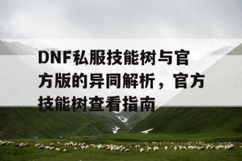 DNF私服技能树与官方版的异同解析，官方技能树查看指南