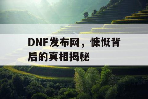 DNF发布网，慷慨背后的真相揭秘