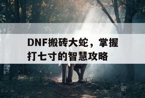 DNF搬砖大蛇，掌握打七寸的智慧攻略