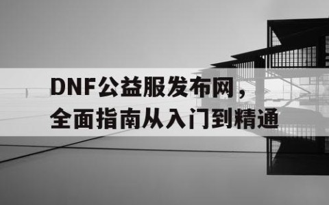 DNF公益服发布网，全面指南从入门到精通