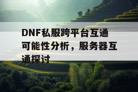 DNF私服跨平台互通可能性分析，服务器互通探讨