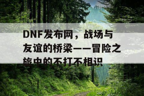 DNF发布网，战场与友谊的桥梁——冒险之旅中的不打不相识