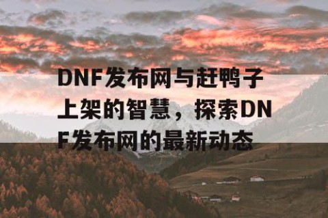 DNF发布网与赶鸭子上架的智慧，探索DNF发布网的最新动态