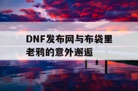 DNF发布网与布袋里老鸦的意外邂逅