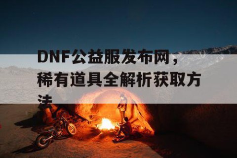 DNF公益服发布网，稀有道具全解析获取方法