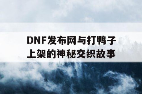 DNF发布网与打鸭子上架的神秘交织故事