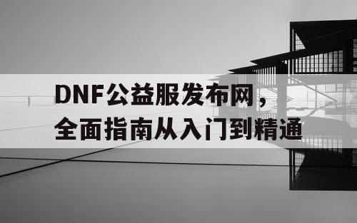 DNF公益服发布网，全面指南从入门到精通