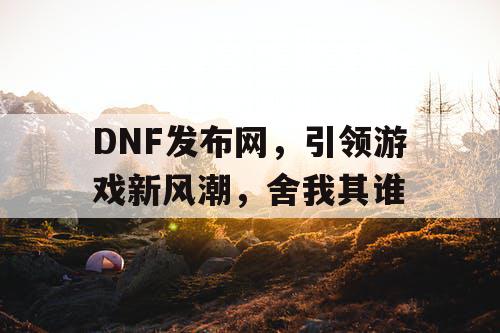 DNF发布网，引领游戏新风潮	，舍我其谁