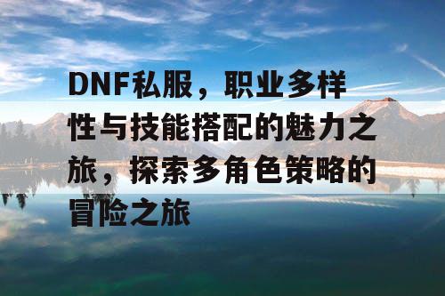 DNF私服，职业多样性与技能搭配的魅力之旅	，探索多角色策略的冒险之旅