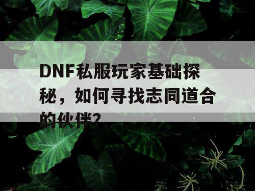 DNF私服玩家基础探秘	，如何寻找志同道合的伙伴？