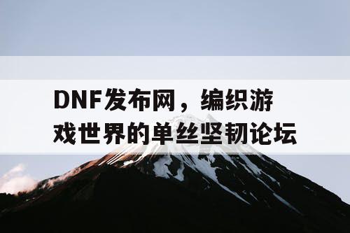 DNF发布网，编织游戏世界的单丝坚韧论坛