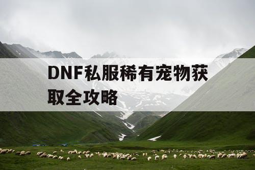 DNF私服稀有宠物获取全攻略