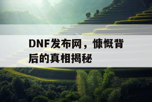 DNF发布网，慷慨背后的真相揭秘