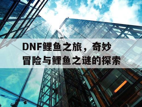 DNF鲤鱼之旅，奇妙冒险与鲤鱼之谜的探索