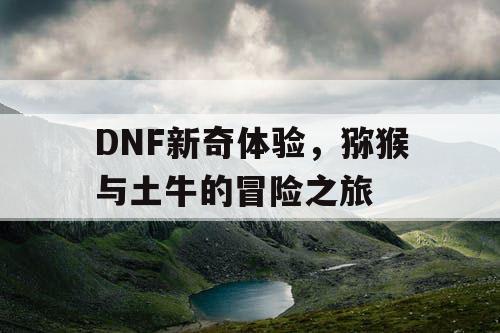 DNF新奇体验，猕猴与土牛的冒险之旅