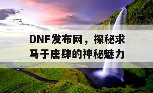 DNF发布网，探秘求马于唐肆的神秘魅力