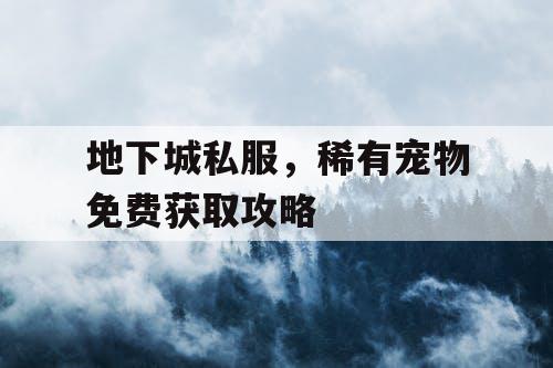 地下城私服，稀有宠物免费获取攻略