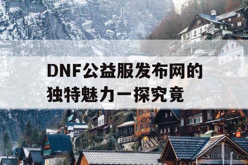 DNF公益服发布网的独特魅力一探究竟