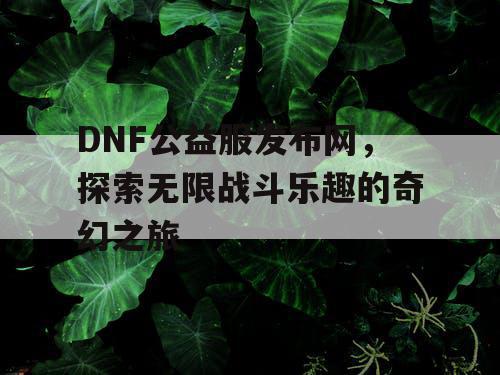 DNF公益服发布网，探索无限战斗乐趣的奇幻之旅