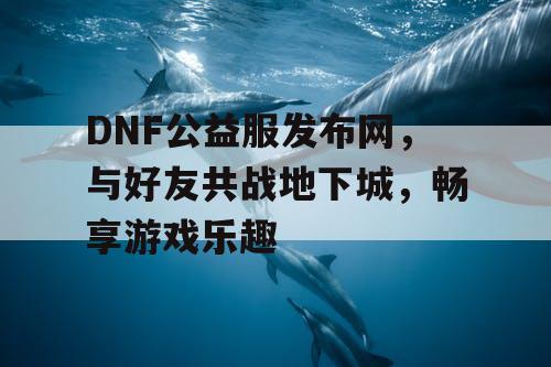 DNF公益服发布网，与好友共战地下城，畅享游戏乐趣