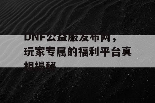 DNF公益服发布网，玩家专属的福利平台真相揭秘