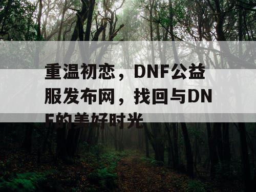 重温初恋，DNF公益服发布网，找回与DNF的美好时光