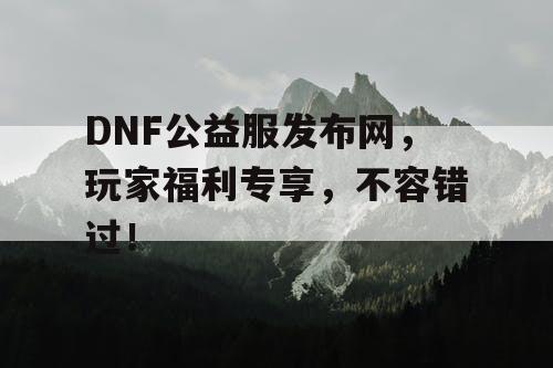 DNF公益服发布网，玩家福利专享，不容错过！