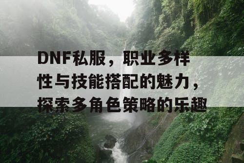 DNF私服	，职业多样性与技能搭配的魅力，探索多角色策略的乐趣