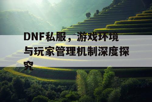 DNF私服	，游戏环境与玩家管理机制深度探究