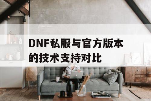 DNF私服与官方版本的技术支持对比