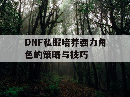 DNF私服培养强力角色的策略与技巧