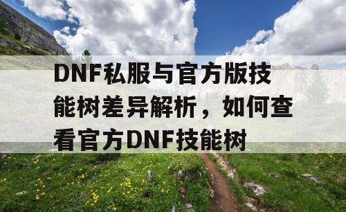 DNF私服与官方版技能树差异解析，如何查看官方DNF技能树