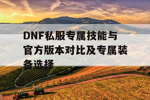 DNF私服专属技能与官方版本对比及专属装备选择