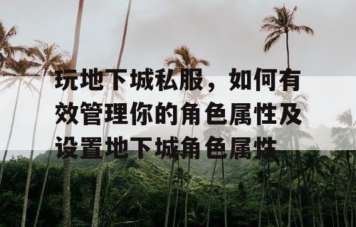 玩地下城私服，如何有效管理你的角色属性及设置地下城角色属性