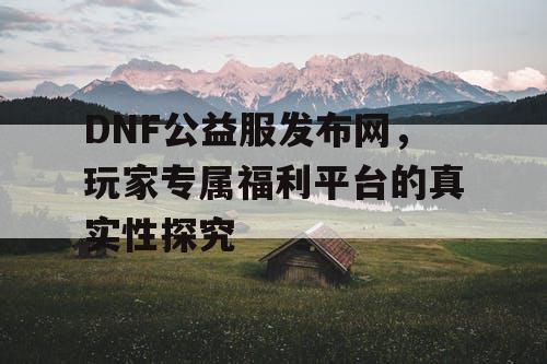 DNF公益服发布网，玩家专属福利平台的真实性探究