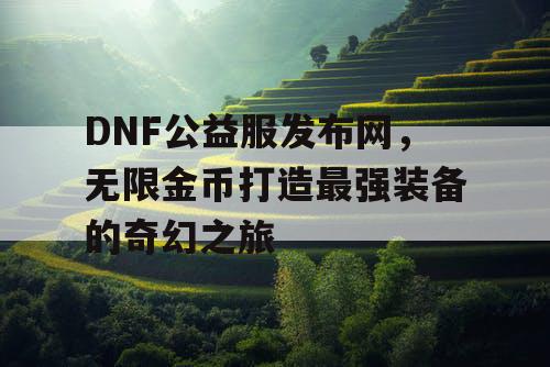 DNF公益服发布网	，无限金币打造最强装备的奇幻之旅