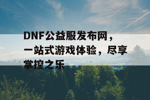 DNF公益服发布网	，一站式游戏体验，尽享掌控之乐