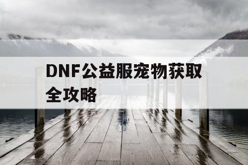 DNF公益服宠物获取全攻略